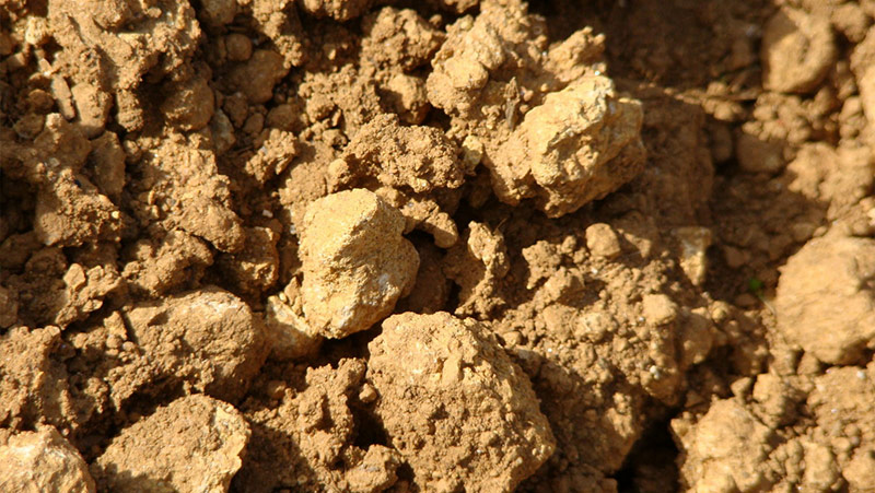 Terroir Châteauneuf du Pape Sol Grès Rouge